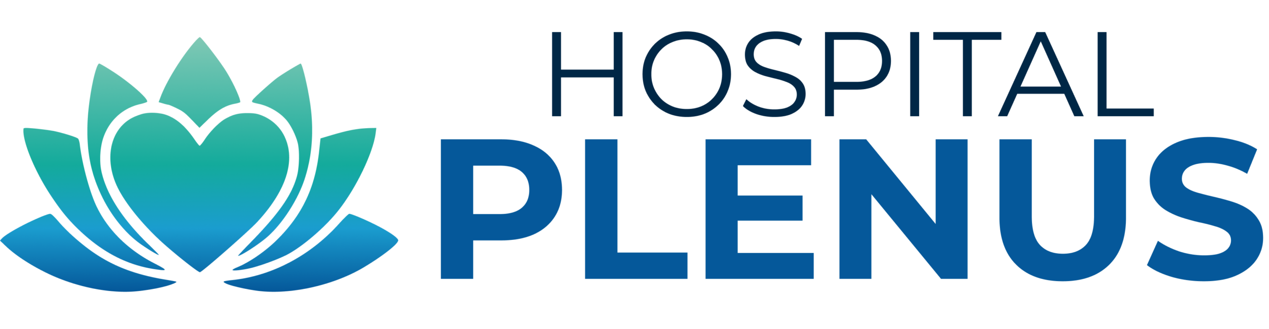 Hospital Plenus